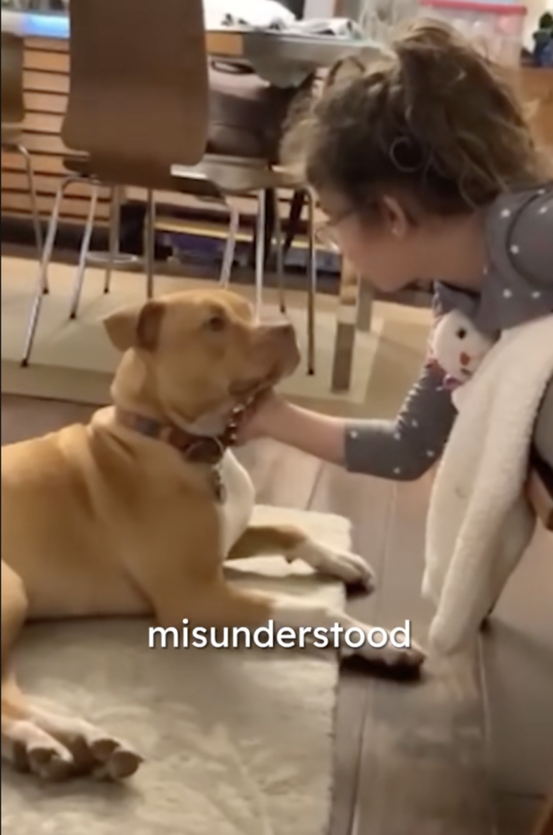 This Pitbull's Obsession With Small Animals Is The Sweetest Thing You'll See Today